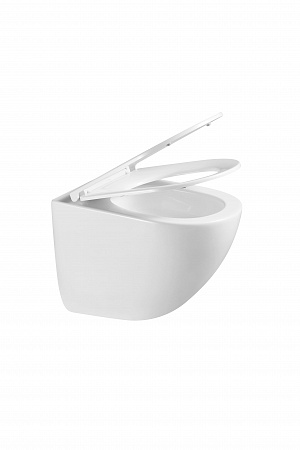 Подвесной унитаз безободковый Terminus Аврора Монолит 495х360 белый Артем - фото 8