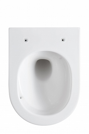 Подвесной унитаз безободковый Terminus Аврора Монолит 495х360 белый Артем - фото 5