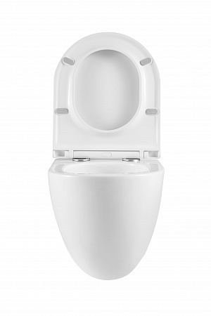 Подвесной унитаз безободковый Terminus Аврора Монолит 495х360 белый Артем - фото 7